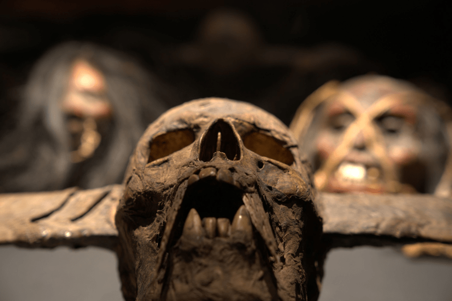 dark secrets mask
